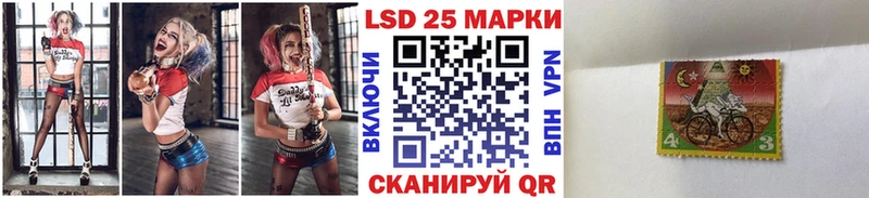купить наркоту  ОМГ ОМГ tor  Марки N-bome 1,5мг  Грязовец 