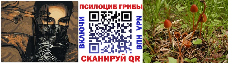 Псилоцибиновые грибы мицелий Грязовец