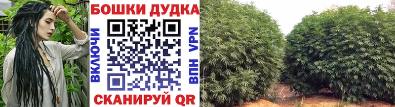 Шишки марихуана SATIVA & INDICA  Грязовец 